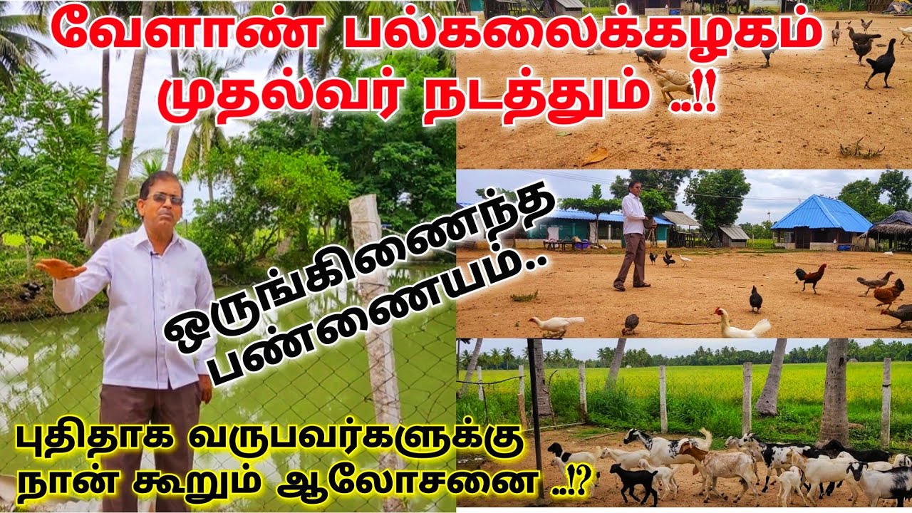 ஒருங்கிணைந்த பண்ணையம் - னா ஒன்று மற்றொன்றுக்கு  Use - ஆகனும் | Integrated farming system |Agri Farm.