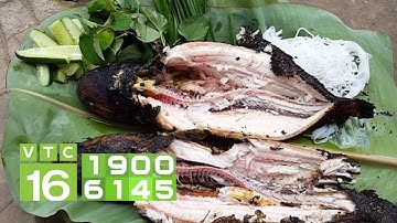 Về miền Tây thưởng thức cá lóc nướng trui | VTC16