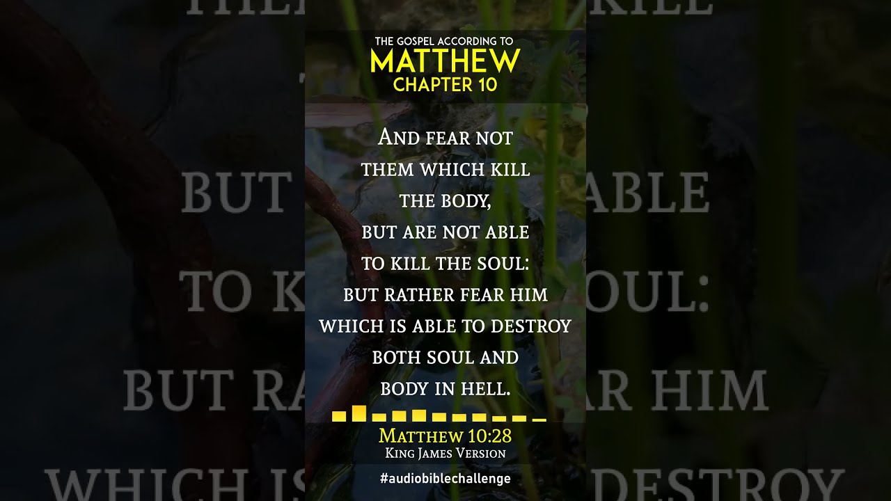 MATTHEW 10 VERSE 26 31 KINGDOM LEGACY FAMILY BIBLE SHORTS READ BY MATTHEW 10 VERSE 26 31 KINGDOM LEGACY FAMILY BIBLE SHORTS READ BY