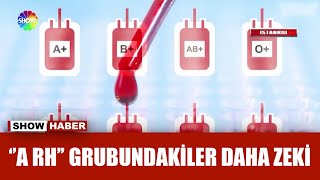 Zeka ve sağlığı kan grubu mu belirliyor? Resimi