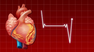 4K Video Animated heart rate graph for medical education on red background