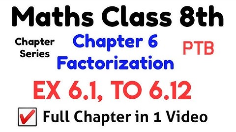 Chapter 6 Class 8th Math PTB - Ex 6.1 To Ex 6.12 - How To Solve Algebraic Equations - Factorization