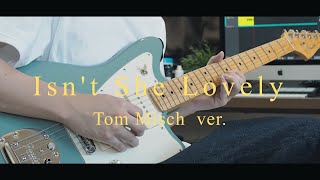 【Tom Misch】Isn't She Lovely cover