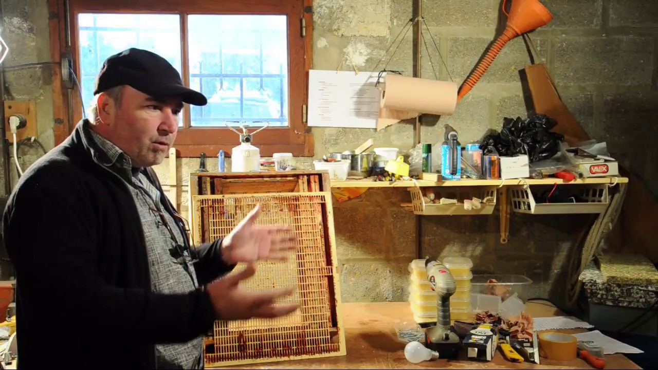 Grille à reine à grand passage