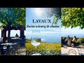 おウチでスイス旅気分 世界遺産ラヴォー地区の紅葉ワイナリー＆チーズ料理 | 海外生活 スイスワイン Unesco Lavaux Switzerland