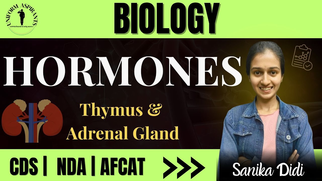 Title Understanding Hormones Thymus Adrenal Glands Explained YouTube title-understanding-hormones-thymus-adrenal-glands-explained-youtube