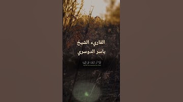 اكتب شيئا تؤجر عليه ❤️🖍 #القران_الكريم #تلاوة_خاشعة #راحة_نفسية #ياسر_الدوسري #لايك #المصحف