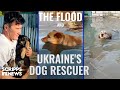 Ukraine’s dog rescuer races to save pets from Kherson floodwaters