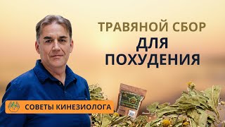 Чай для похудения и очищения организма - травяной сбор 