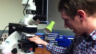 Helms Lab 101 9  Microscope, label printer IMG 0749