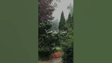 أَلَمْ تَرَ أَنَّ اللَّهَ أَنزَلَ مِنَ السَّمَاءِ مَاءً   سورة الحج   علي جابر