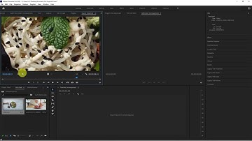 Part 5 : Working with Source Monitor | Adobe Premiere Pro CC | Free Tutorial | Video Editing