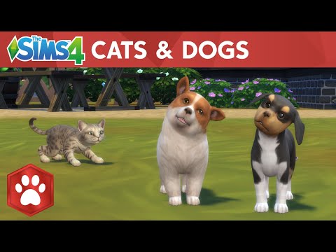 Cats Dogs Sims For 2ch Thesims4 Wiki