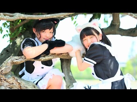 【ねこ玉】すーぱーぬこわーるど【踊ってみた】