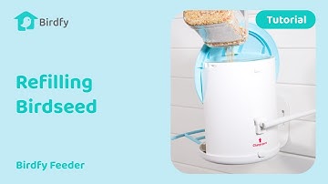 How to Refill Birdseed in a Wall-Mounted/Tree-Mounted Feeder - Birdfy Feeder Tutorial
