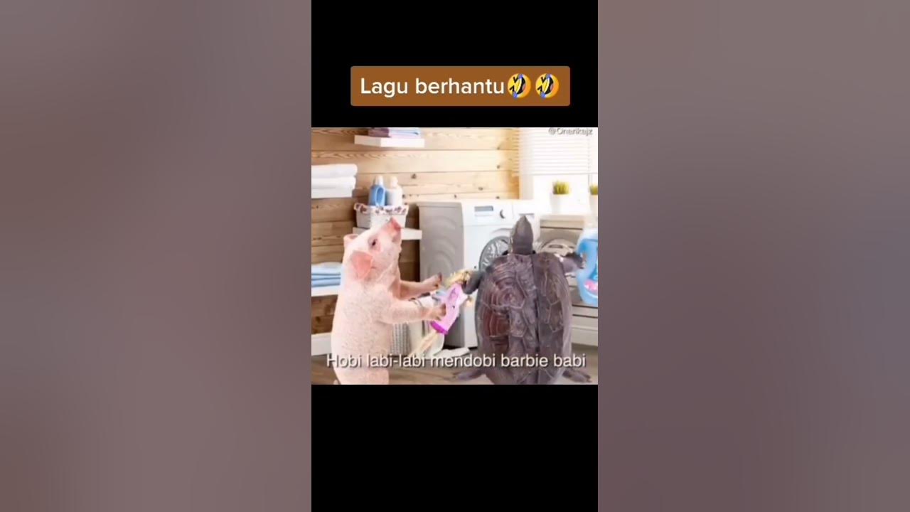lagu lelabi labi #lagu #meme #ngakak #labilabi lagu lelabi labi #lagu #meme #ngakak #labilabi