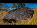 Gráfica rupestre en Colima; una pieza única