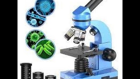 Unit 10 Science  Grade 7  English medium - Correct use of the microscope Part II