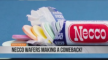 Necco wafers are making a comeback!