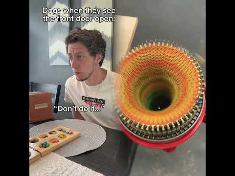 My Dog Will Run Out The Door At Any Given Chance Dogdaddy