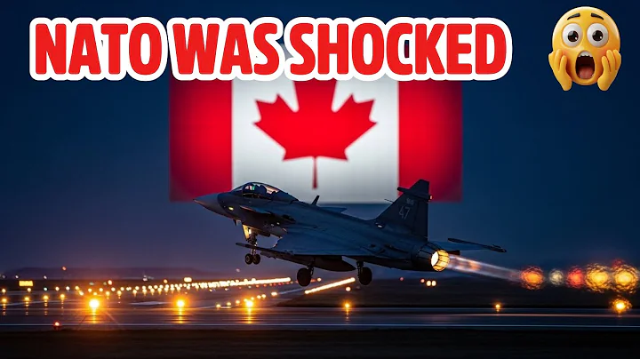 They Said Gripen Was Overrated - NATO Pilots Learned the Truth