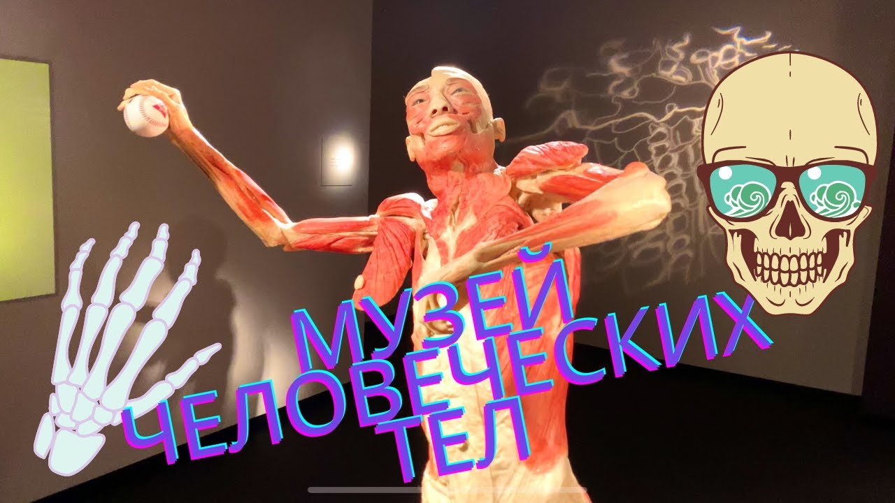 ЧЕЛОВЕЧЕСКИЕ ТЕЛА || Музей - ЭКСПОНАТЫ НАСТОЯЩИХ ЛЮДЕЙ - HUMAN BODIES