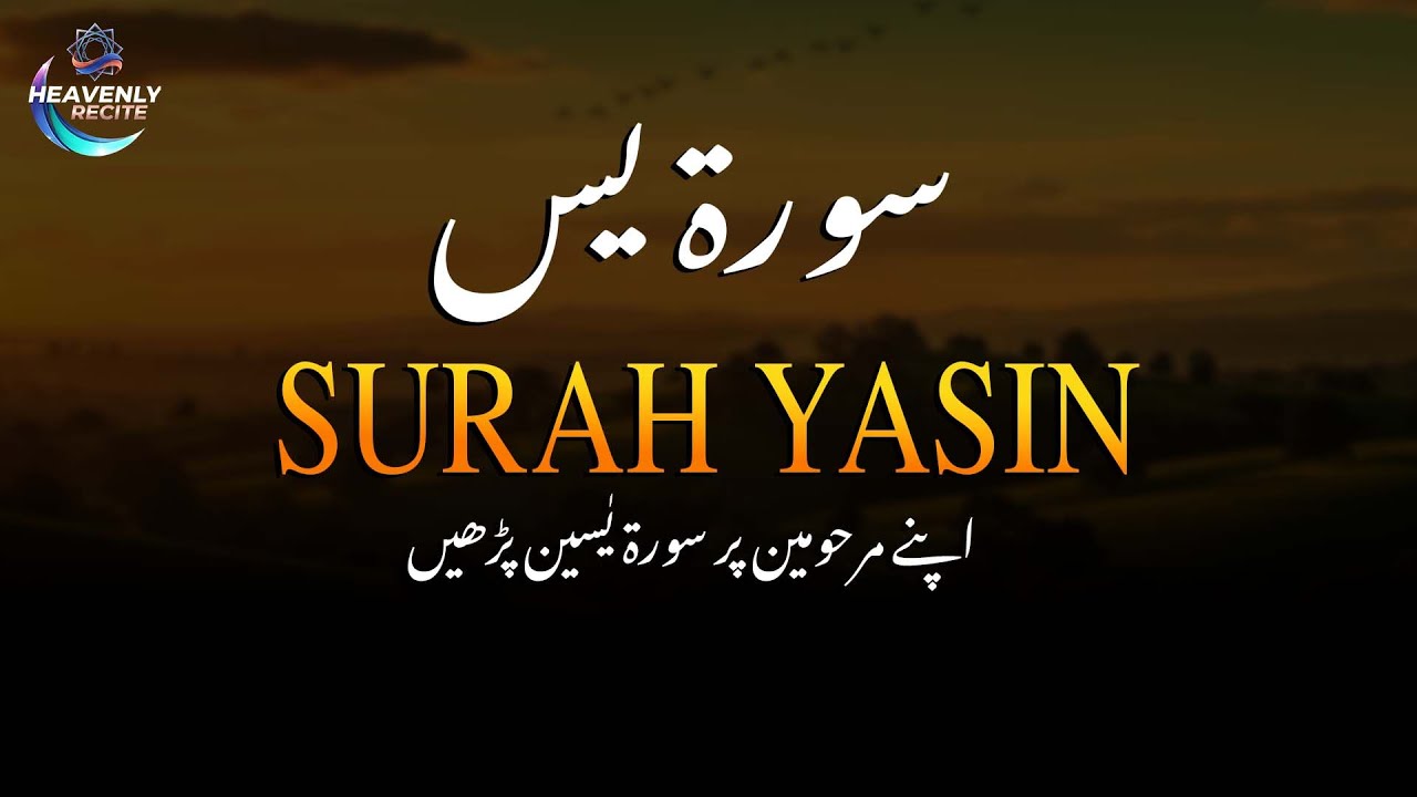 Surah -Yaseen- with Urdu & Hindi Translation | Beautiful Quran Tilawat | Recited by Ahmed Kasib