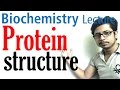 Protein structure  primary secondary tertiary and ...