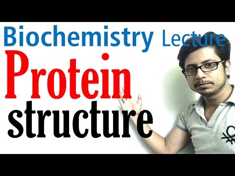 Protein structure | primary secondary tertiary and  quaternary structure of protein