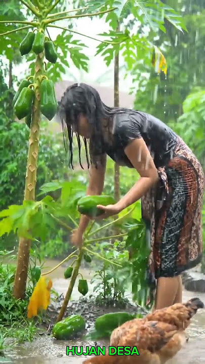 Suara Hujan Deras dan Petir untuk Tidur | Suara Hujan untuk Tidur #hujanderas #shortsviral