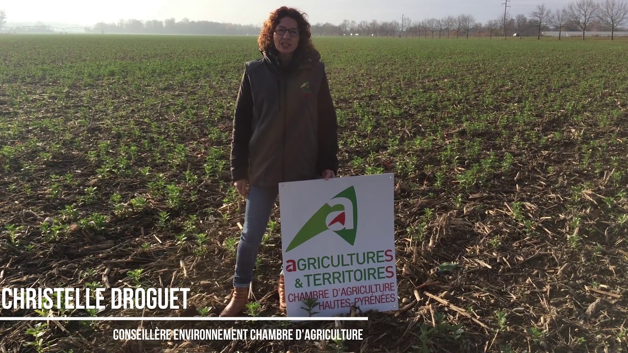 Une formation sur les Techniques Culturales Simplifiées les 19 et 20 décembre 2020