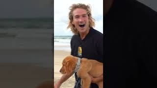 His face says it al! #theexplorelife #toyota #builtforadventure #offroad #camping