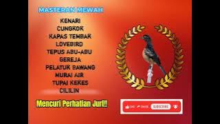 MASTERAN MEWAH 2025‼️TEMBAKAN KASAR - AUTO BIKIN LAWAN KETAR-KETIR // Cocok Buat Murai Trotol_Pastol