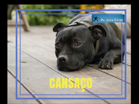 mensagem de férias Café com Deus. Devocional #6. Cansaço. Pr. Júlio César
