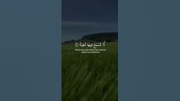 ماتيسر من سورة الغاشية #قران #حالات_واتس_آب #دينيه