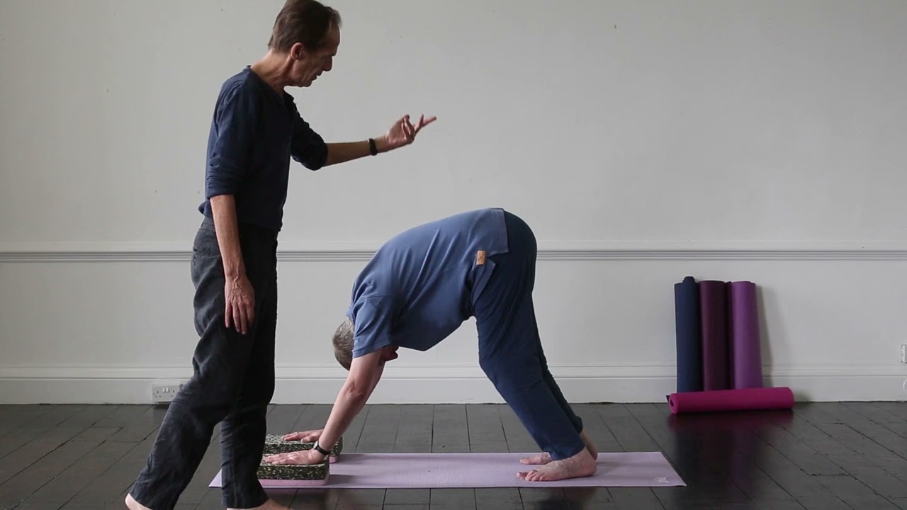 downward dog with different bodies.