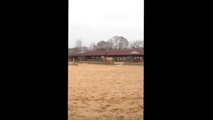 Christine Frye & She Dashes AAHJA