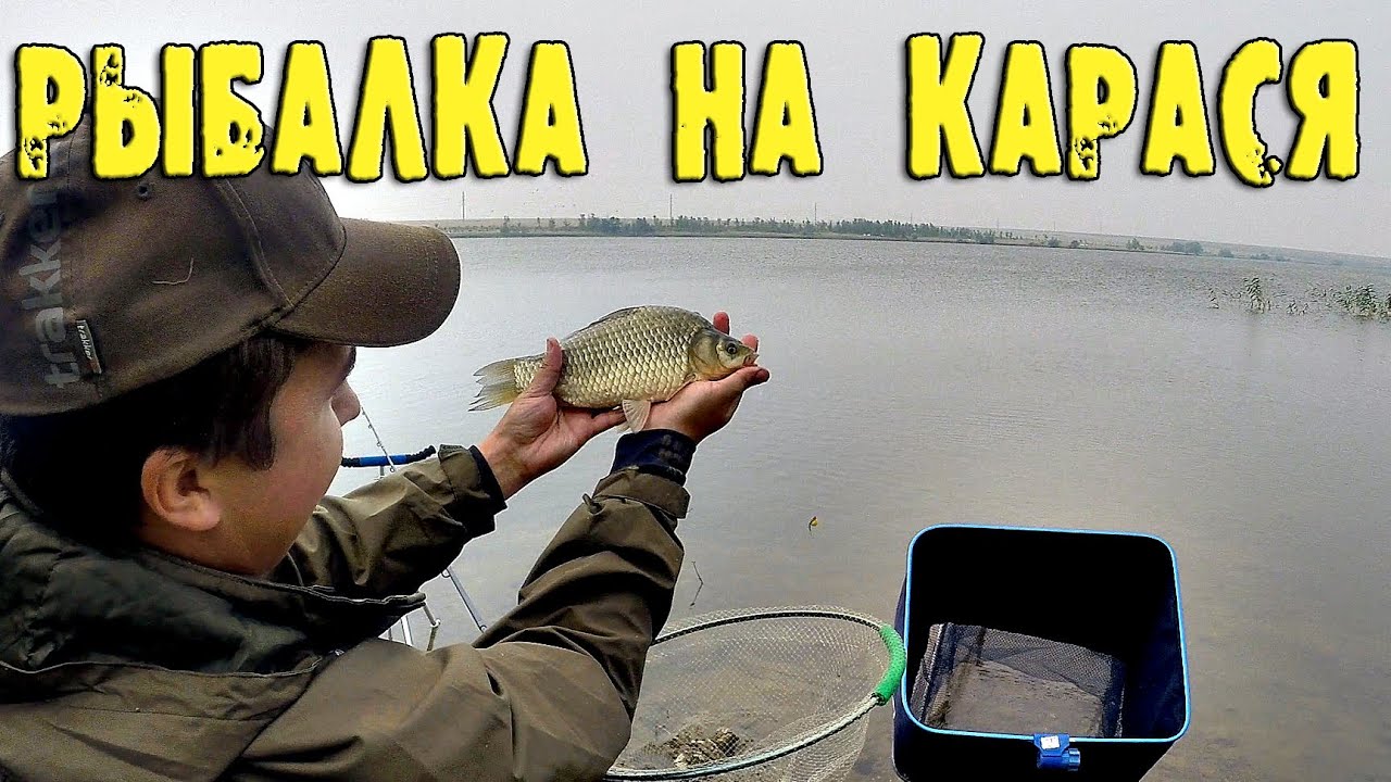 Ловля карася на реке дон Ловля карася на реке дон