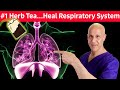 #1 Respiratory Herb Tea...For Colds, Coughs, Mucus, Congestion, Difficulty Breathing | Dr. Mandell