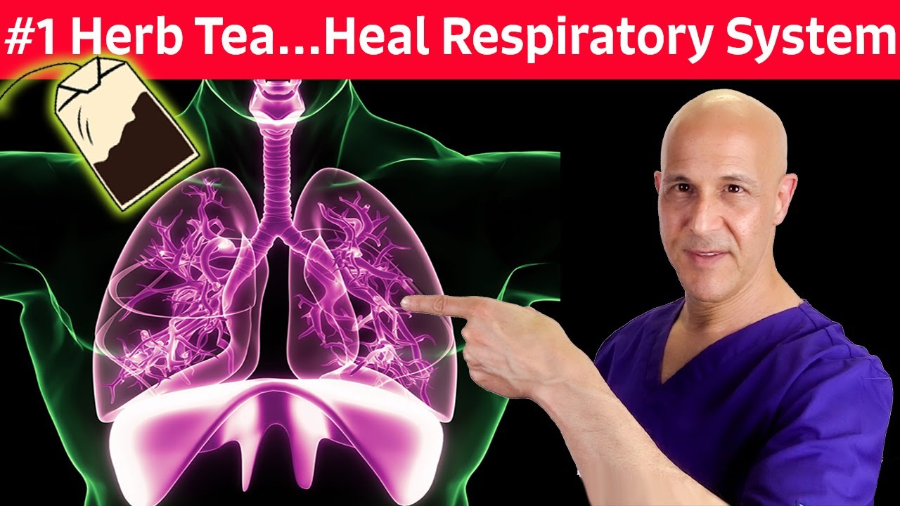 1 Respiratory Herb Tea...For Colds, Coughs, Mucus, Congestion