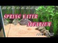 【Aquarium】spring water Aquarium　湧き水のある水槽総集編