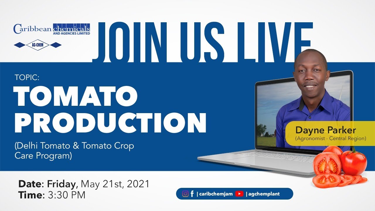AG CHEM LIVE: Tomato Production - Delhi Tomato and Crop Care Program