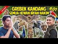 GREBEK SEMUA KOLEKSI HEWAN IRFAN HAKIM TERLENGKAP! RUMAH ISINYA HEWAN SEMUA! #GREBEKKANDANG #PART1