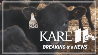 Minnesota ranchers speak out against President Trump's idea to import beef from Argentina