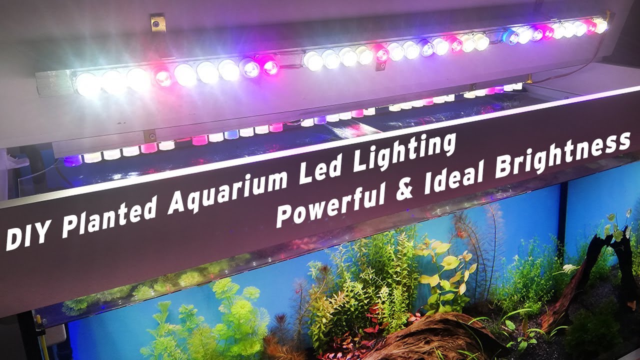 DIY LED Aquarium Lights: A Planted Aquarium Lighting Guide