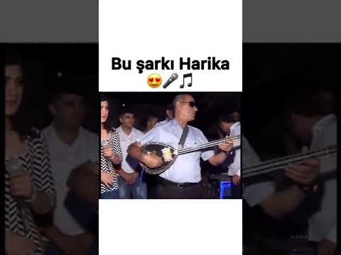 Her biji keca kurdan jıtere.