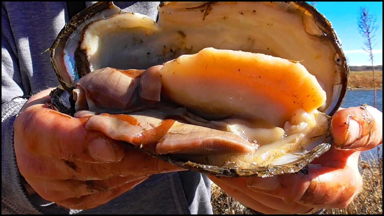 I Found Something Interesting while Fishing - YouTube