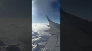 Bird view❤️ #views#love#travelphotography#viral#trending#travelvlog#sky#aesthetic#whatsappstatus#fyp