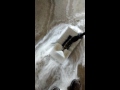 Vampire Optical Coatings Anti-Graffiti Coating for concrete
