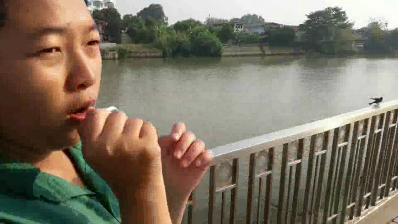 ทัศนศึกษา โรงเรียนเพชรพิทยาคม